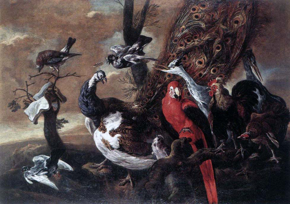Concert of Birds